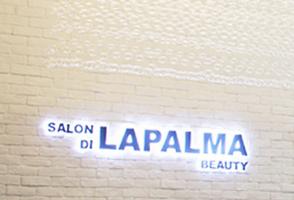 Electric hair: Salon Di La Palma Beauty